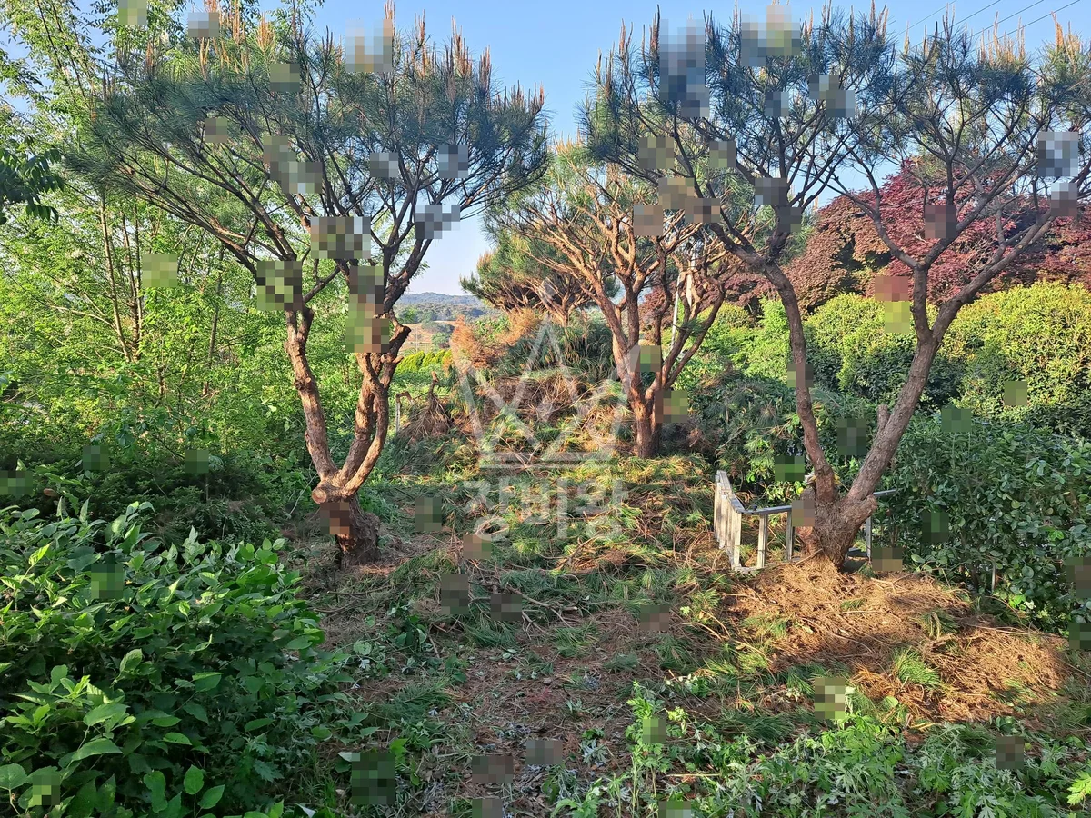 전남 장성군 삼서면 포크레인(굴착기) 나무식재작업 작업사진 2