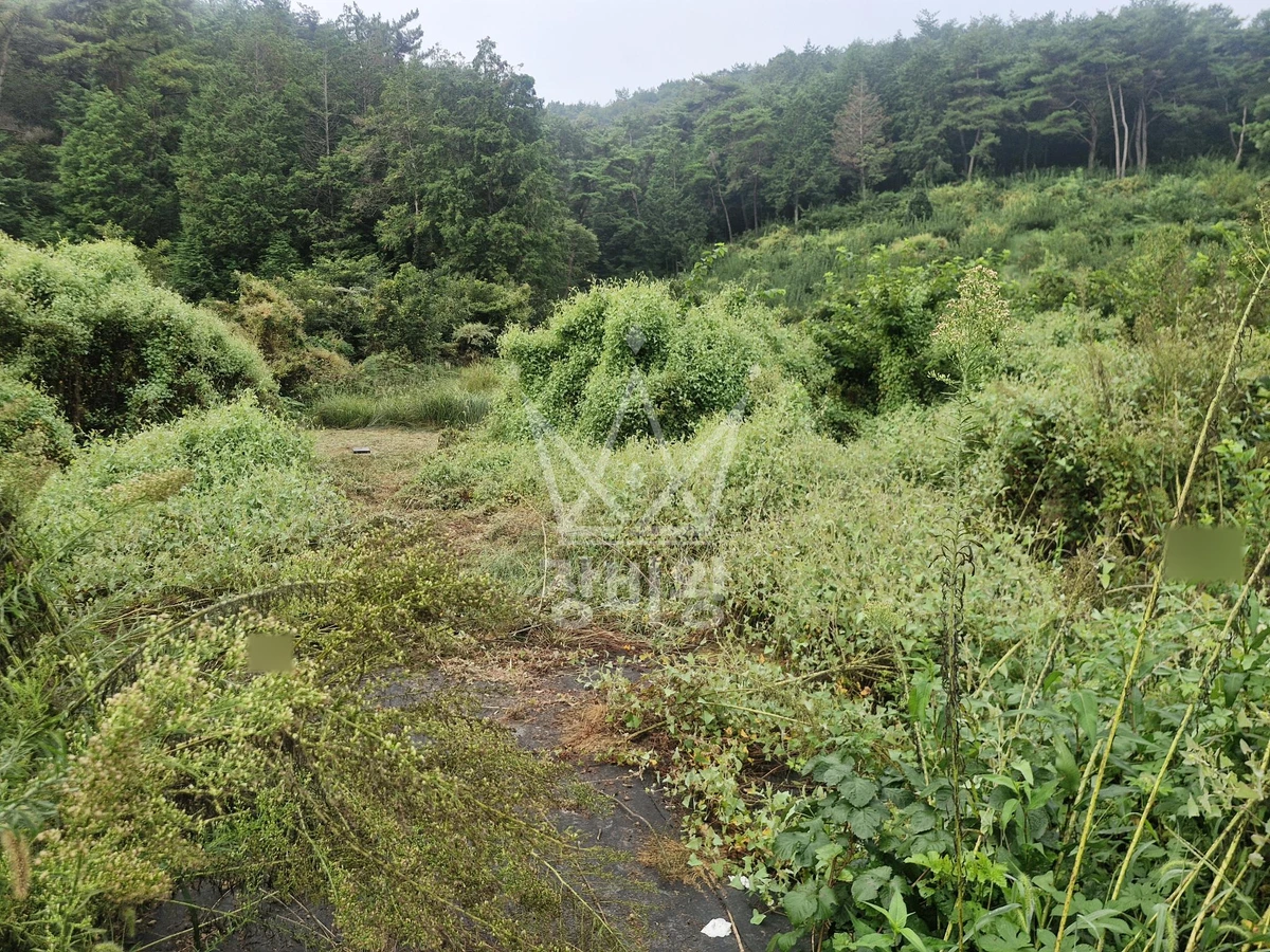 경남 고성군 영오면 포크레인(굴착기) 작업 현장 도착사진
