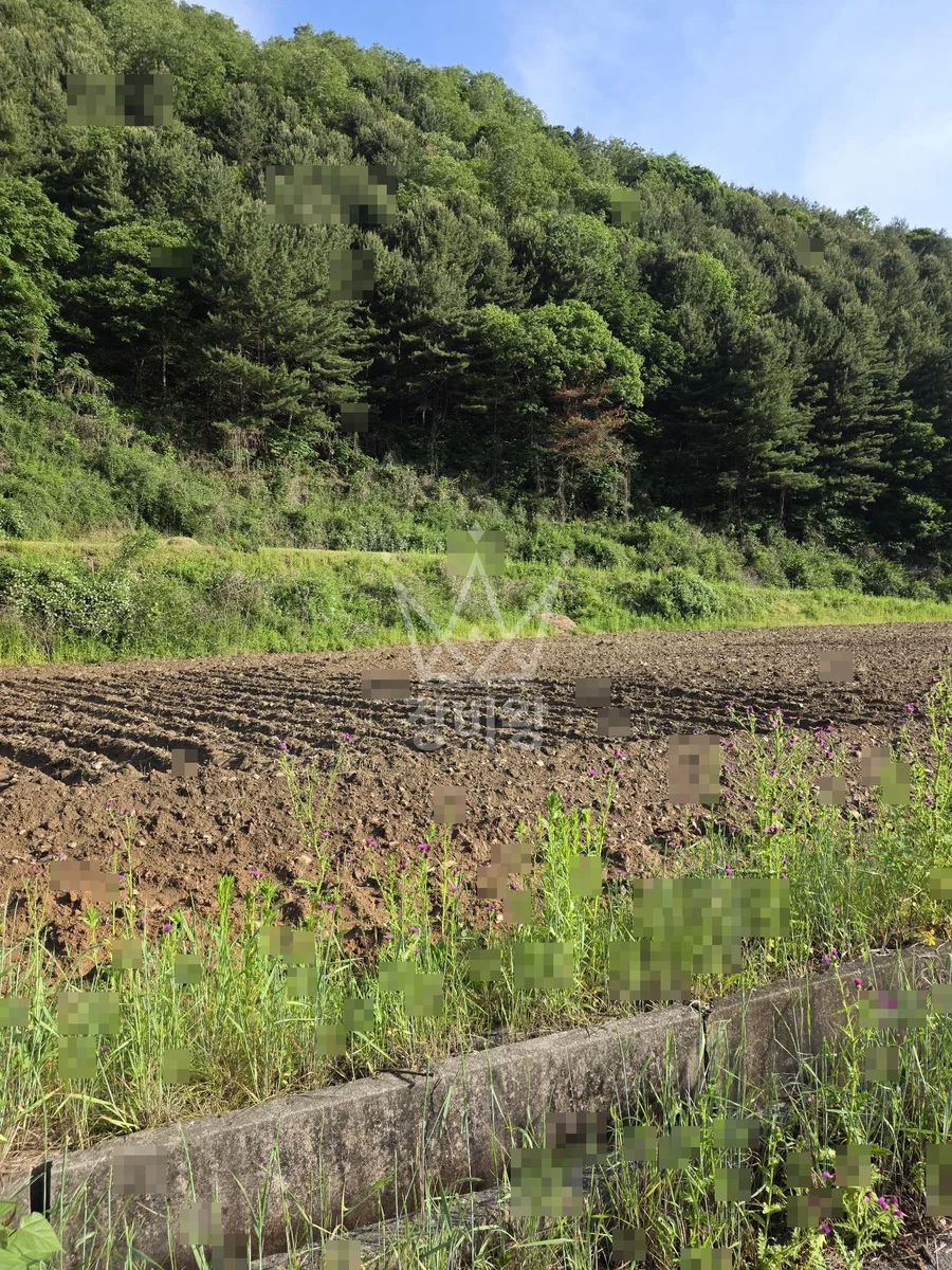 강원 홍천군 남면 포크레인(굴착기) 작업 현장 도착사진