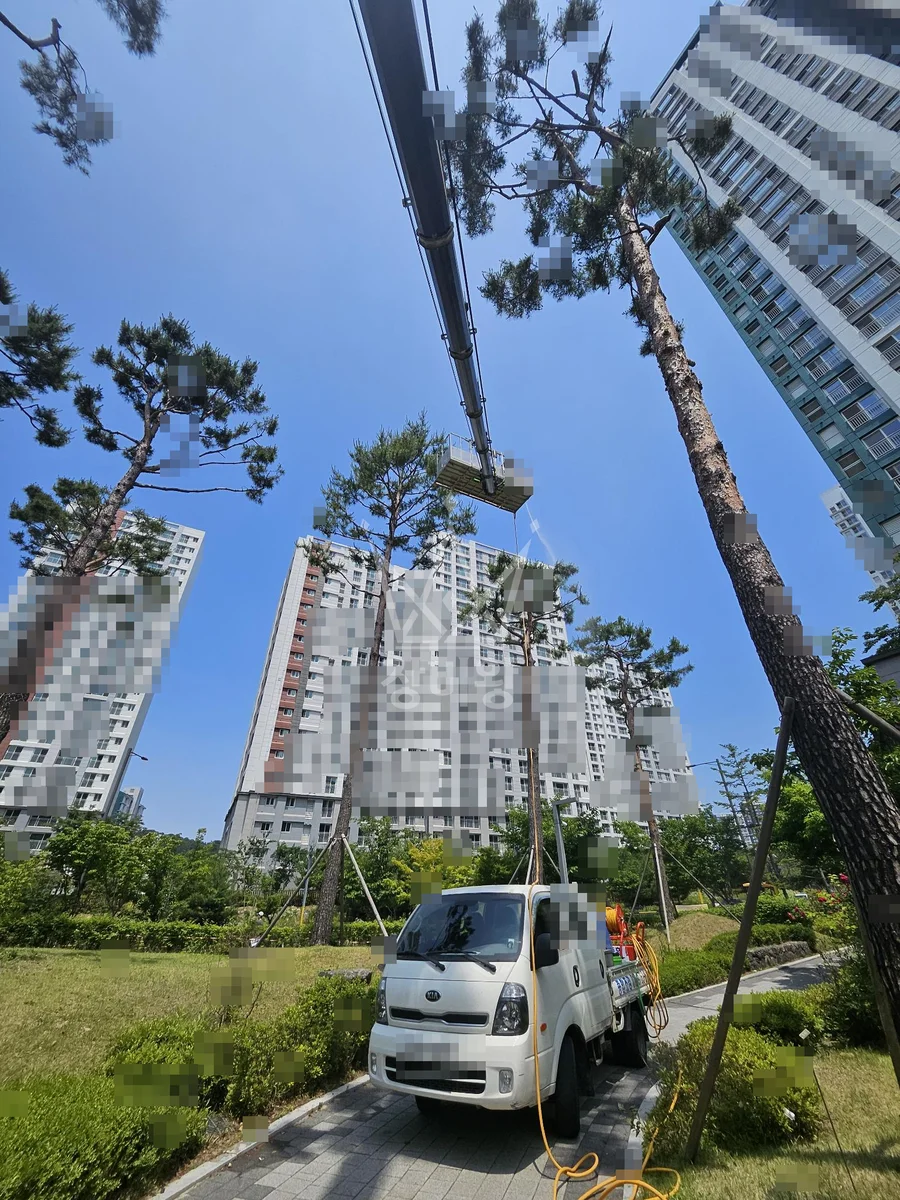 경기 하남시 감이동 3.5톤 스카이차 수목 방재 작업사진 1
