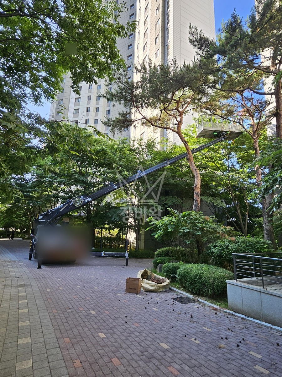 경기 시흥시 배곧동 3.5톤 스카이차 수목방재,전지작업 작업사진 1