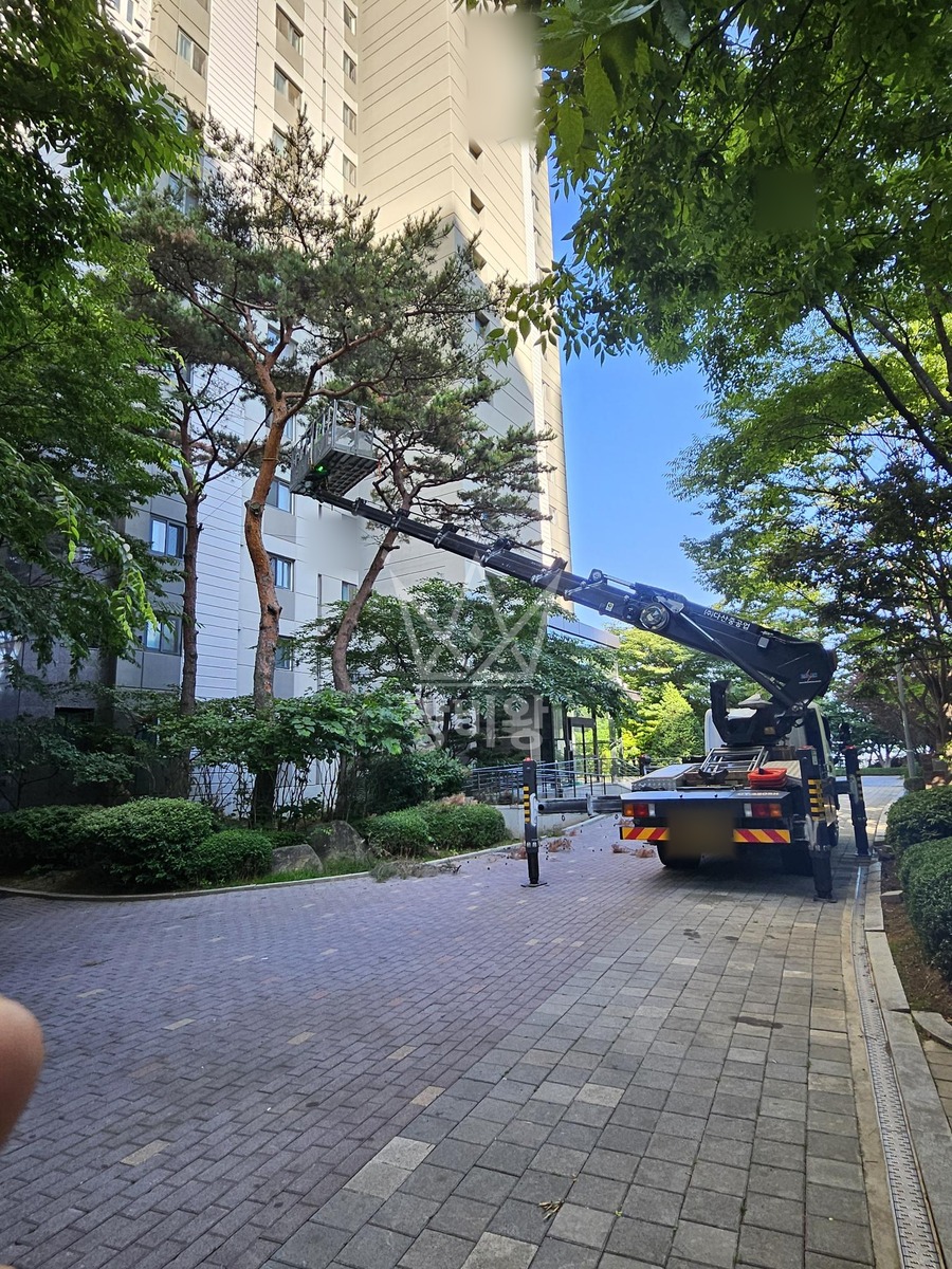 경기 시흥시 배곧동 3.5톤 스카이차 수목방재,전지작업 작업사진 2