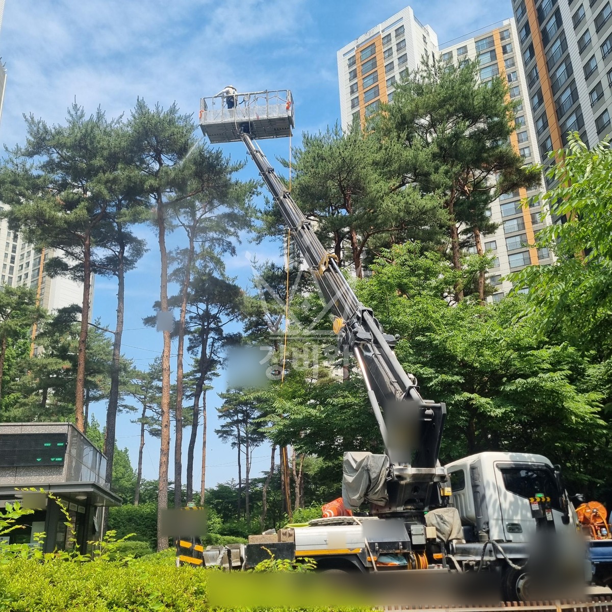 경기 시흥시 배곧동 3.5톤 스카이차 수목방제 작업사진 1
