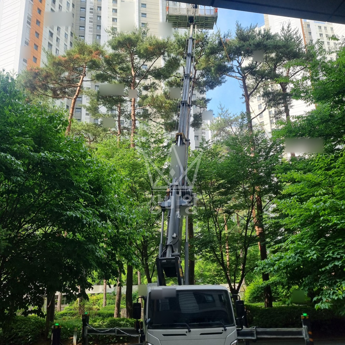 경기 시흥시 배곧동 3.5톤 스카이차 수목방제 작업사진 2