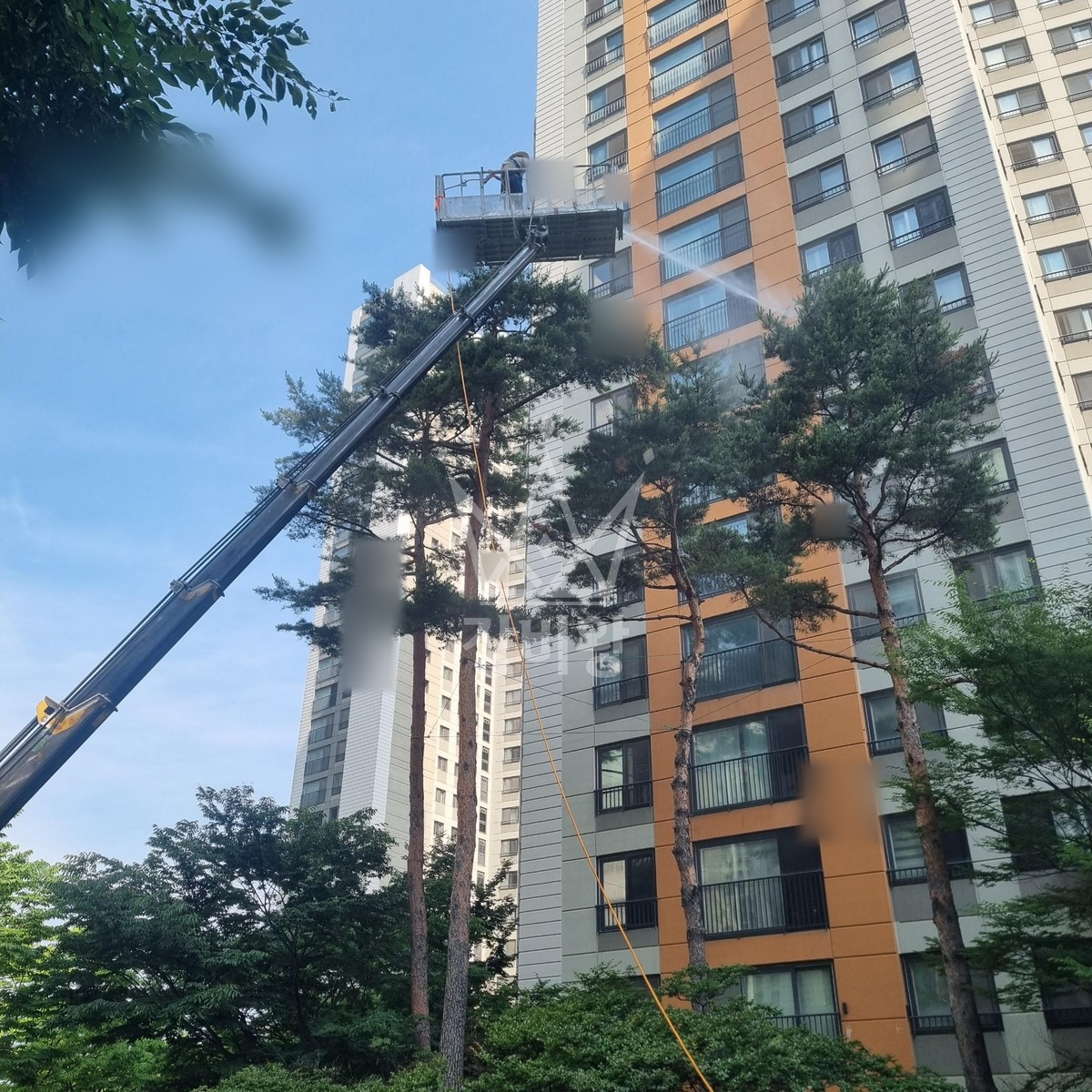 경기 시흥시 배곧동 3.5톤 스카이차 수목방제 작업사진 3