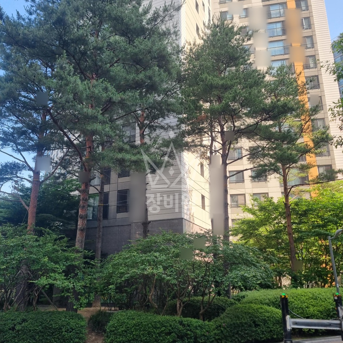 경기 시흥시 배곧동 3.5톤 스카이차 수목방제 작업완료사진 1