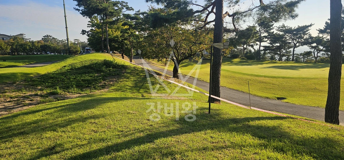 경기 이천시 모가면 포크레인(굴착기) 터파기 작업사진 3