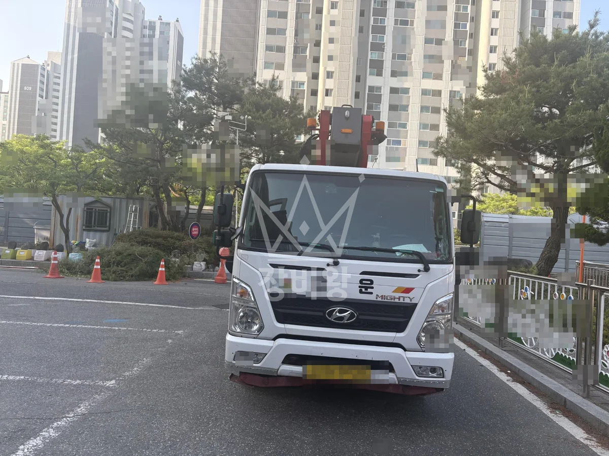 대전 서구 관저동 3.5톤 스카이차 소나무전지 작업사진 1