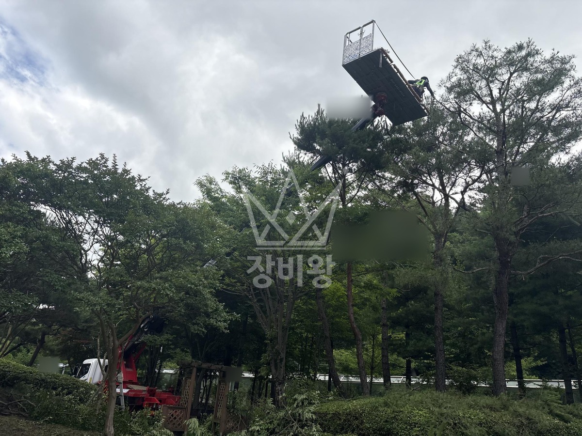 대전 서구 괴곡동 3.5톤 스카이차 수목전지 작업사진 3