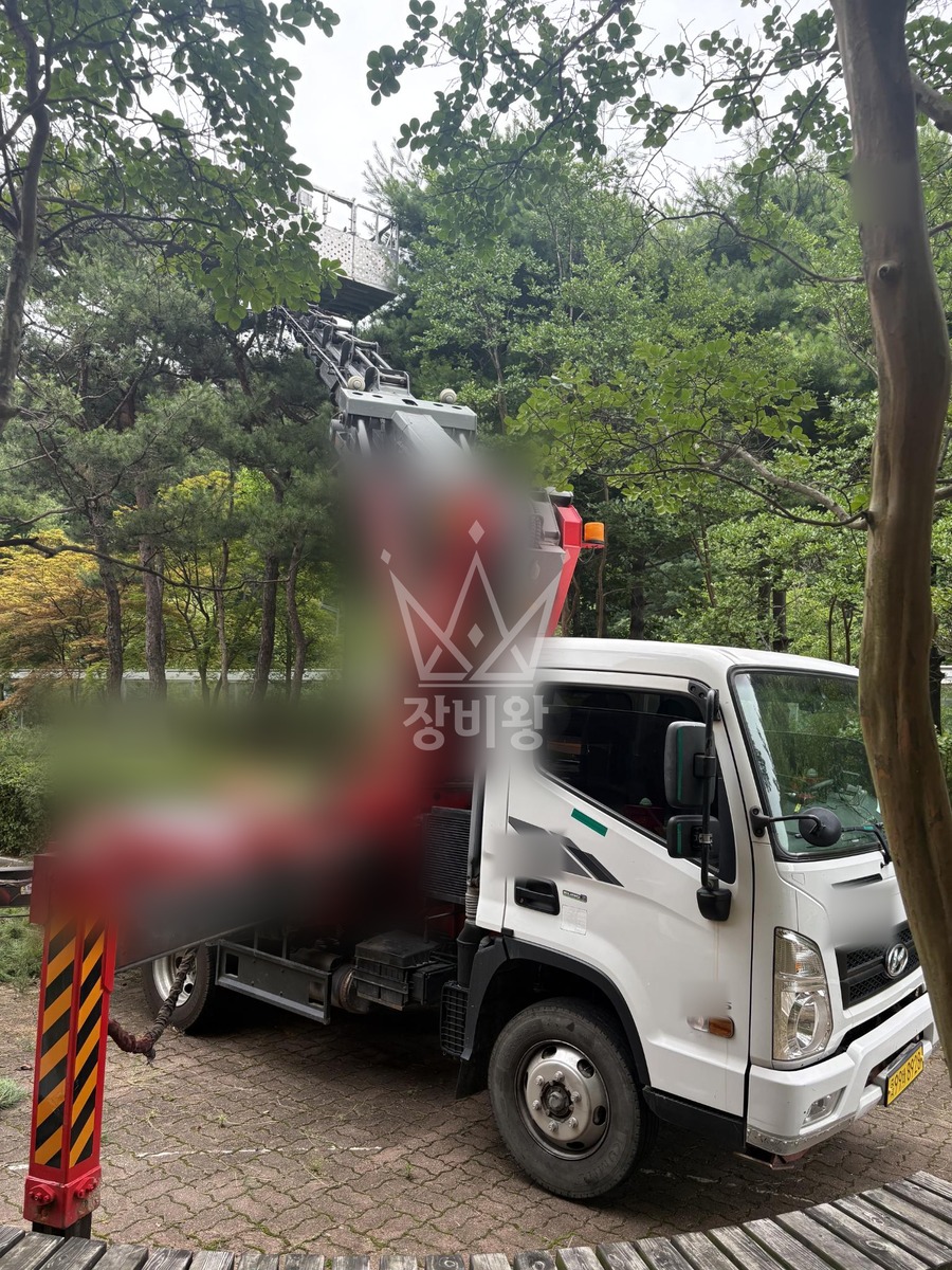 대전 서구 괴곡동 3.5톤 스카이차 수목전지 작업사진 1