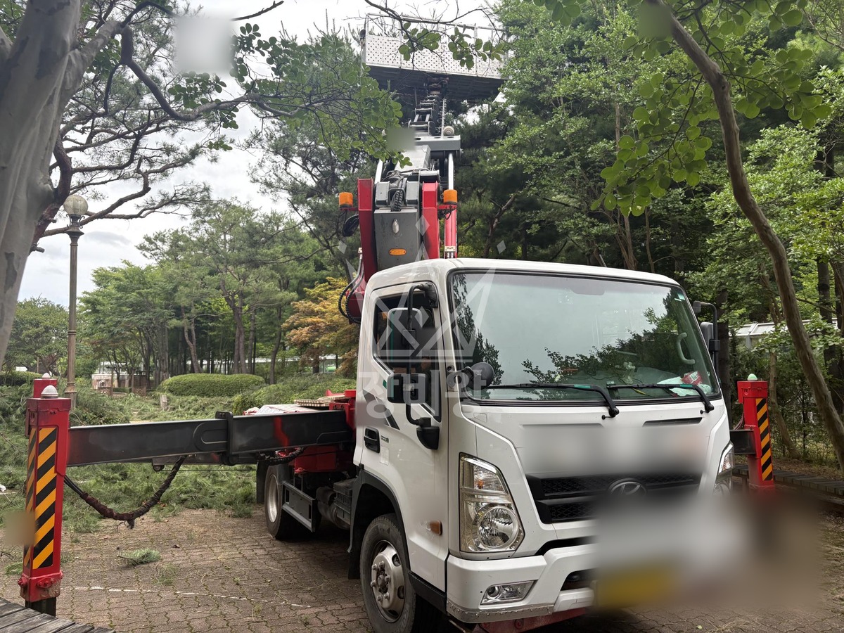 대전 서구 괴곡동 3.5톤 스카이차 수목전지 작업사진 2