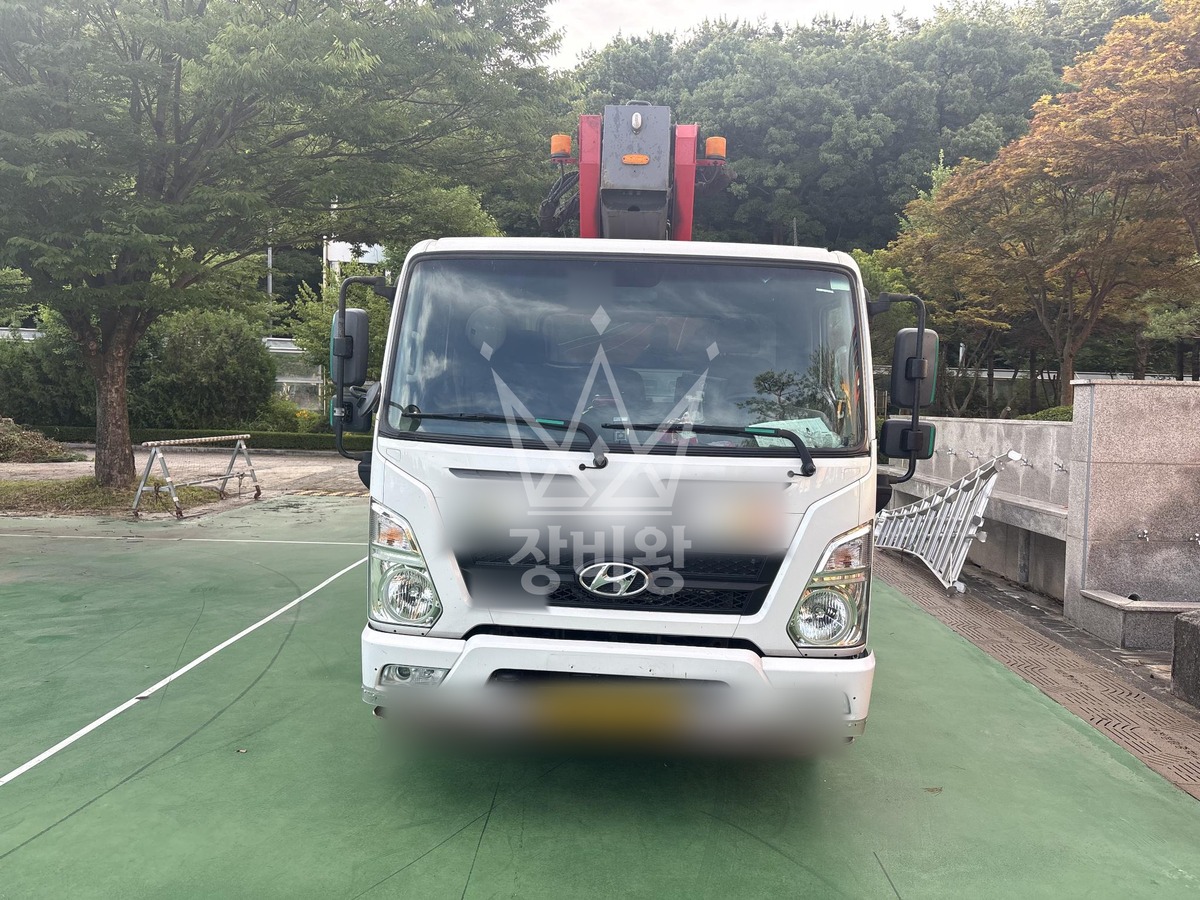 대전 서구 괴곡동 3.5톤 스카이차 수목전지 작업사진 3