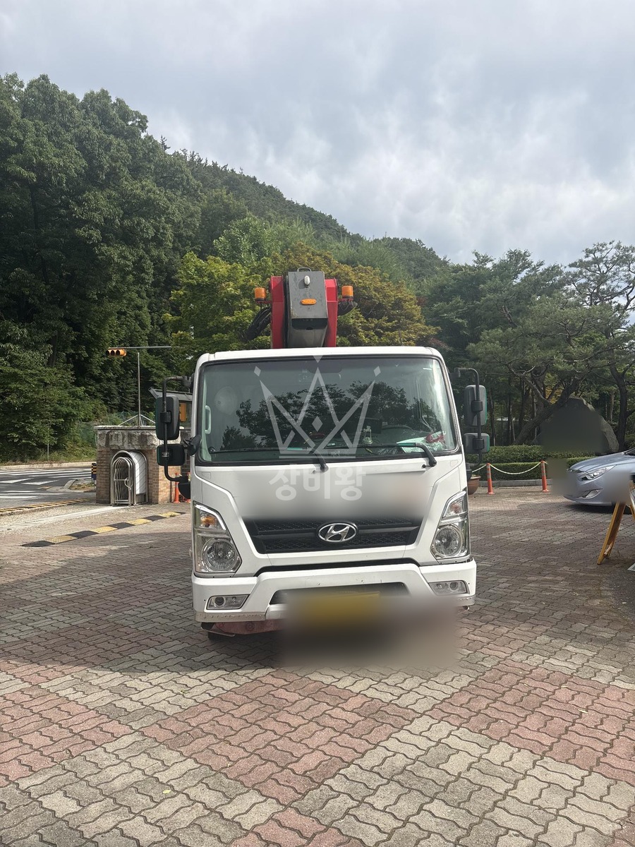 대전 서구 괴곡동 3.5톤 스카이차 수목전지 작업완료사진 1