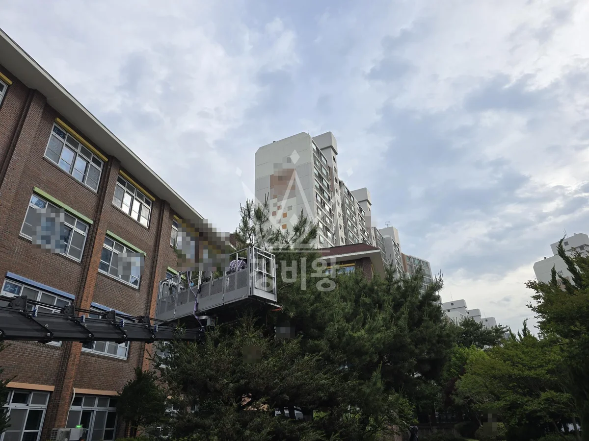 대전 서구 만년동 3.5톤 스카이차 소나무전지 작업사진 3