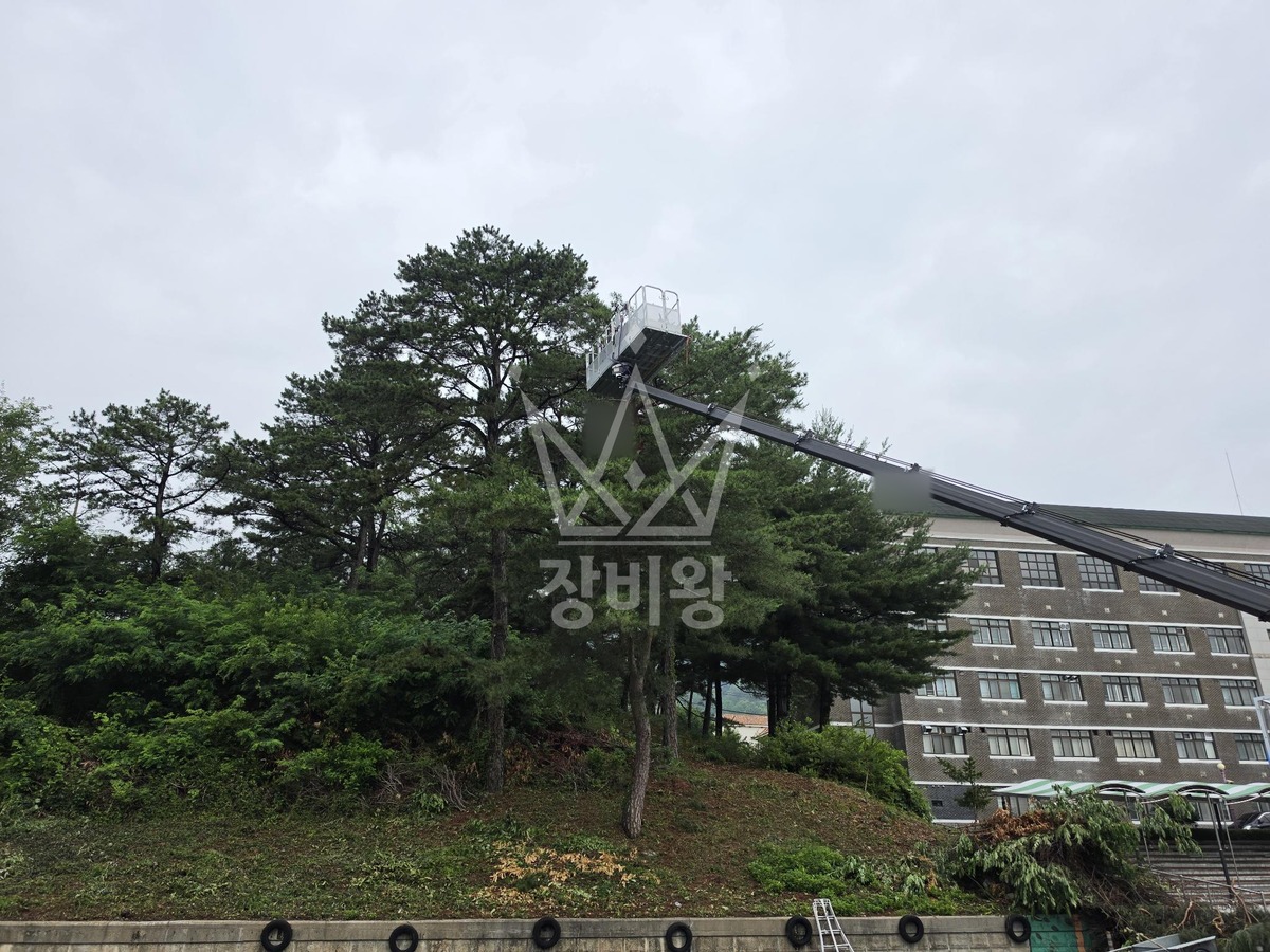 대전 유성구 화암동 3.5톤 스카이차 수목전지 작업사진 1