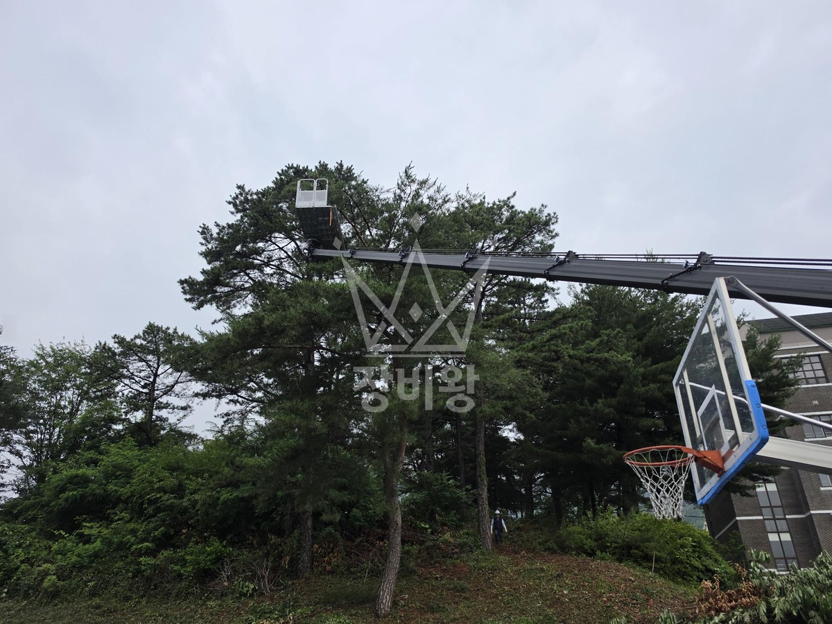 대전 유성구 화암동 3.5톤 스카이차 수목전지 작업사진 2