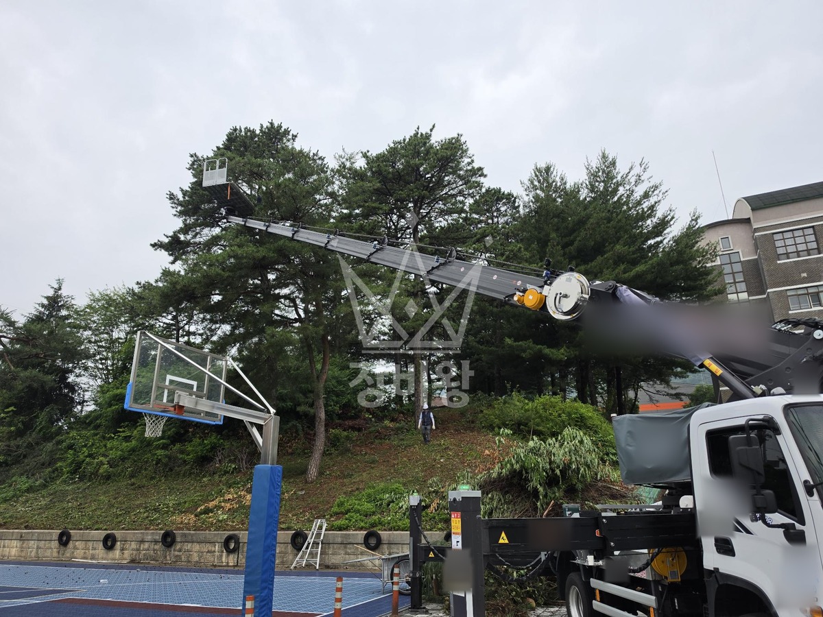 대전 유성구 화암동 3.5톤 스카이차 수목전지 작업사진 3