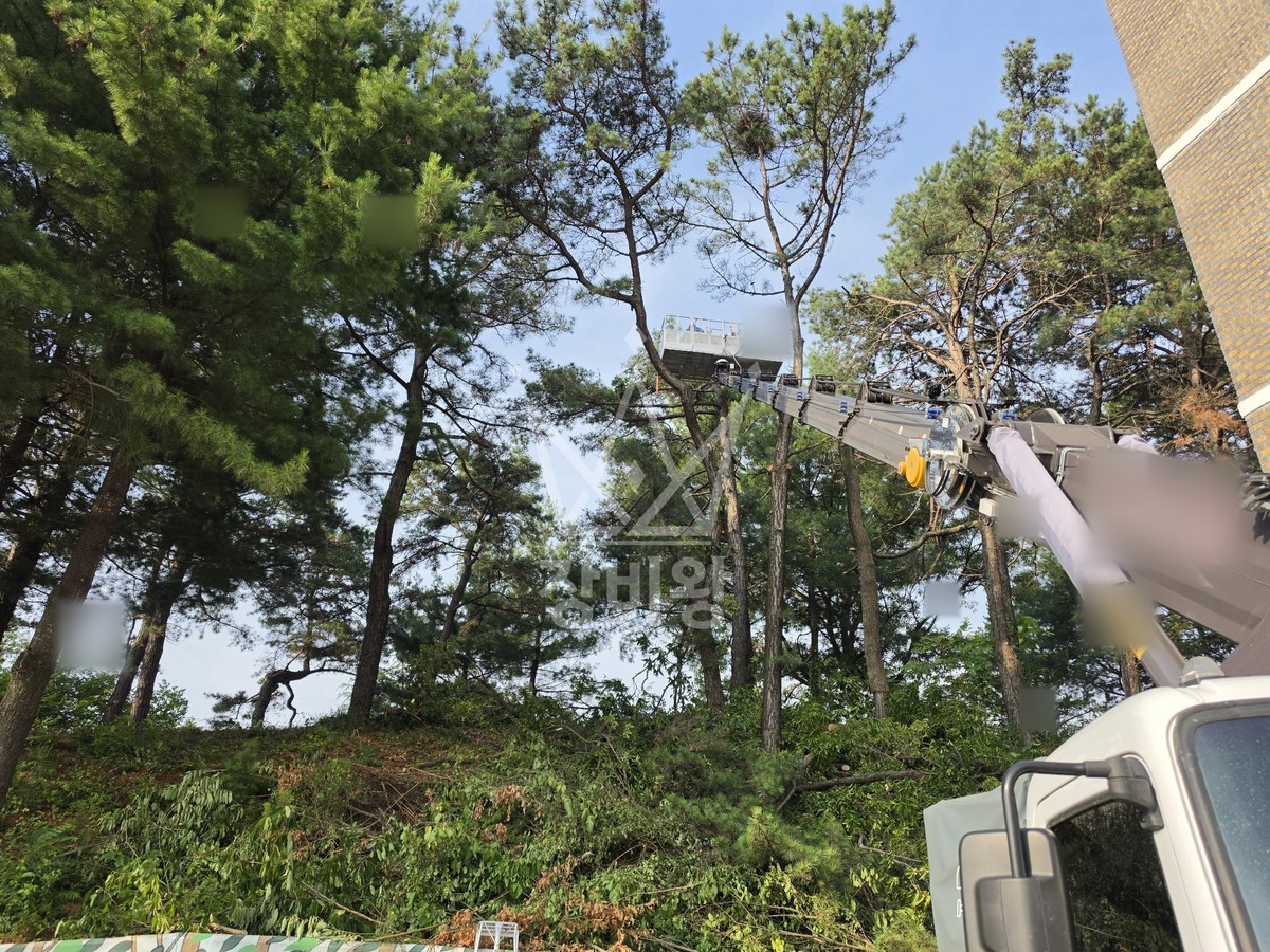대전 유성구 화암동 3.5톤 스카이차 수목전지 작업사진 1