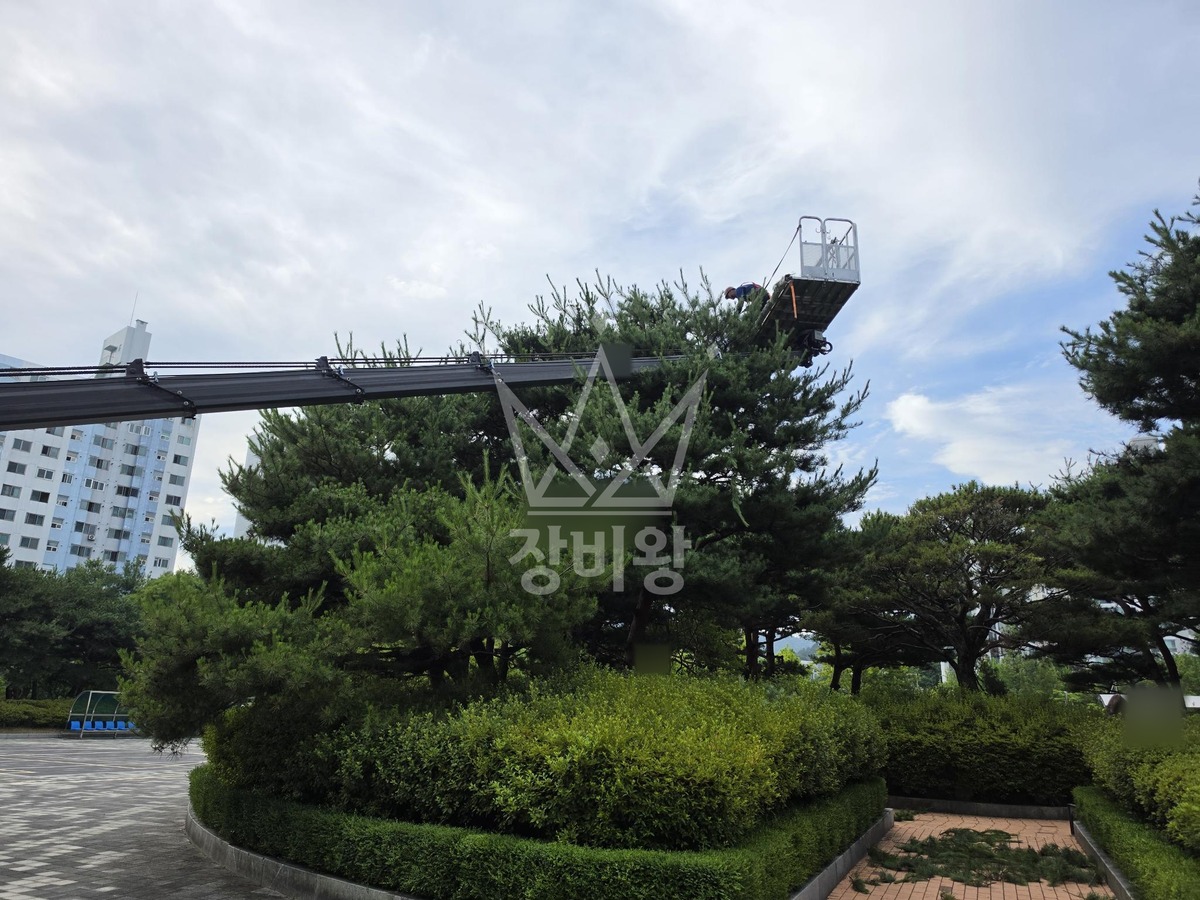 대전 유성구 원내동 3.5톤 스카이차 수목전지 작업사진 1