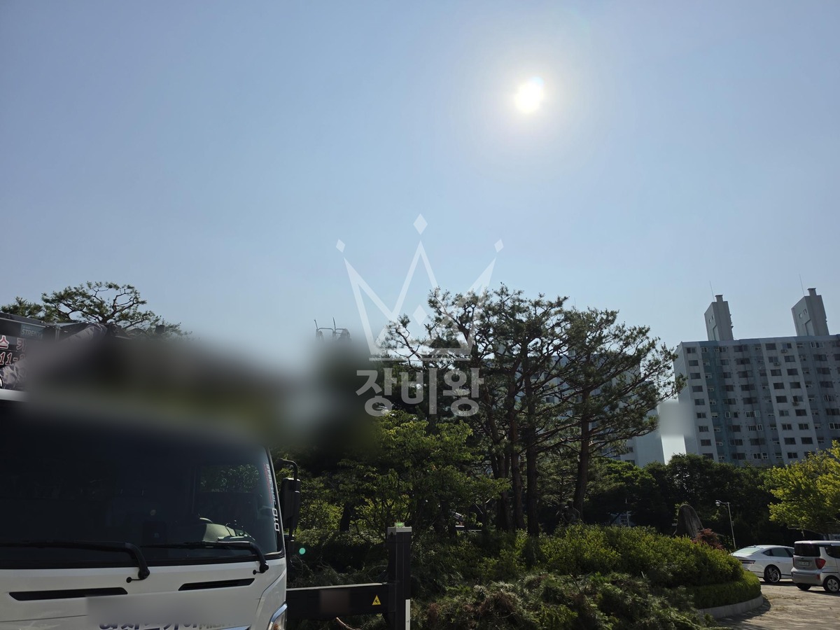 대전 유성구 원내동 3.5톤 스카이차 수목전지 작업사진 2