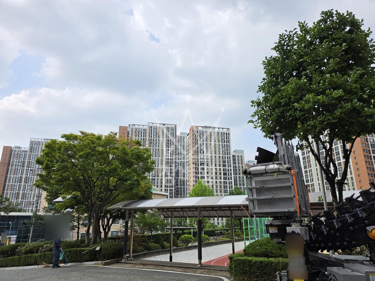 대전 동구 용운동 3.5톤 스카이차 수목전지 작업완료사진 1