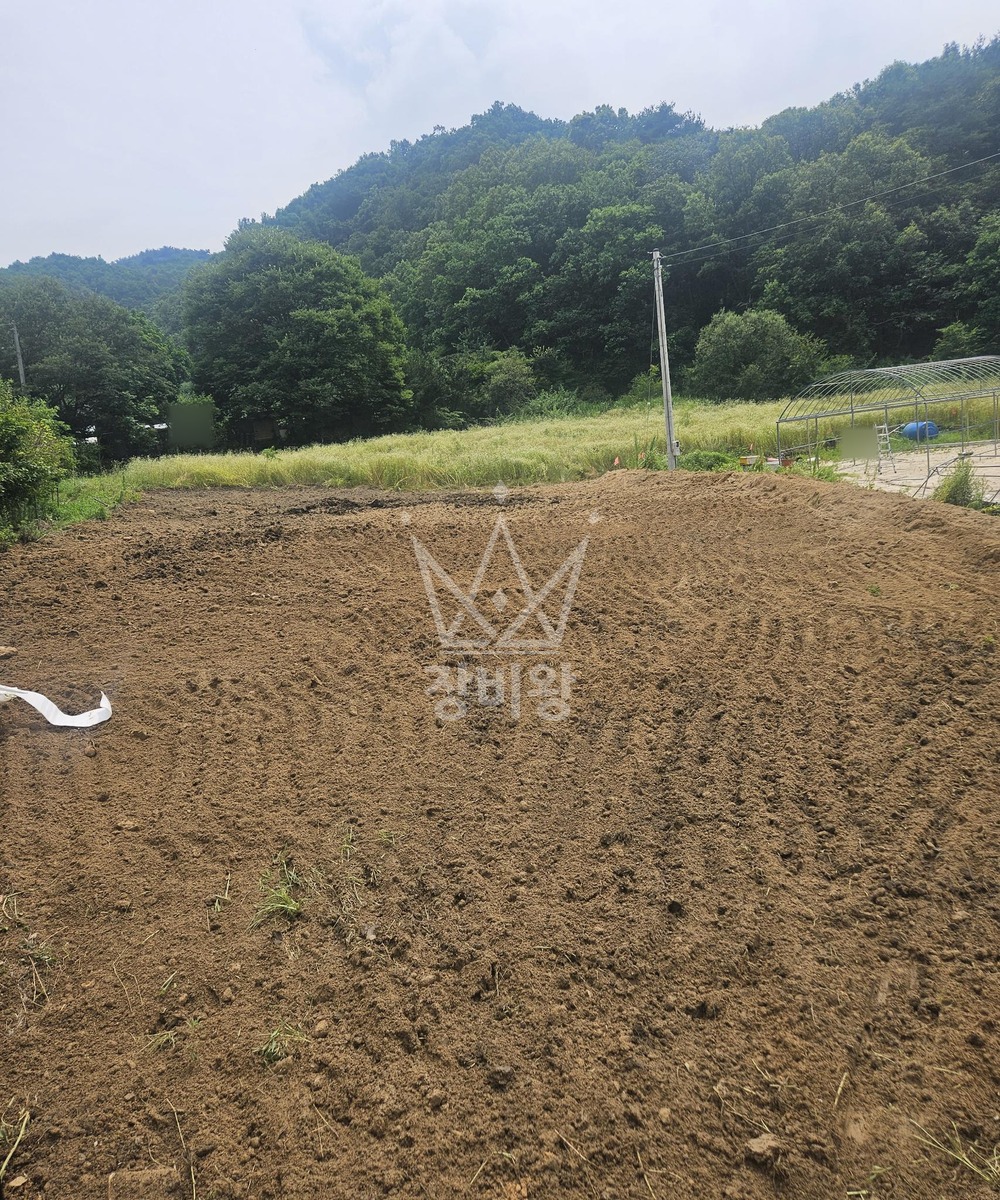 강원 원주시 흥업면 포크레인(굴착기) 밭 평탄화작업 작업완료사진 1