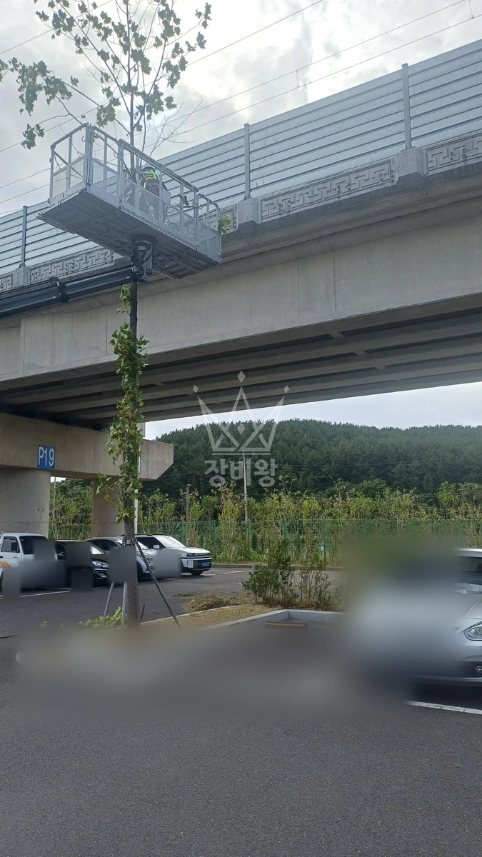 부산 기장군 장안읍 2.5톤 스카이차 나무가지치기 작업사진 2