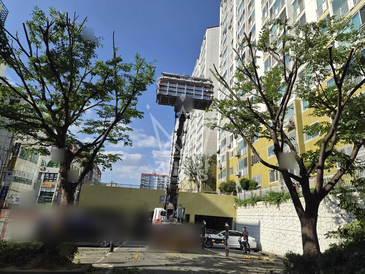 경남 창원시 성산구 대방동 3.5톤 스카이차 수목 전지 작업완료사진 1