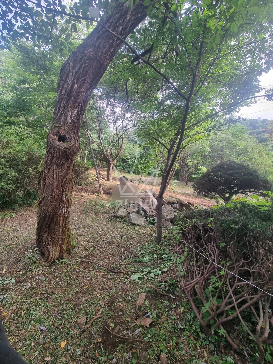 경기 군포시 속달동 포크레인(굴착기) 나리시/ 나무,꽃-식재 작업사진 2