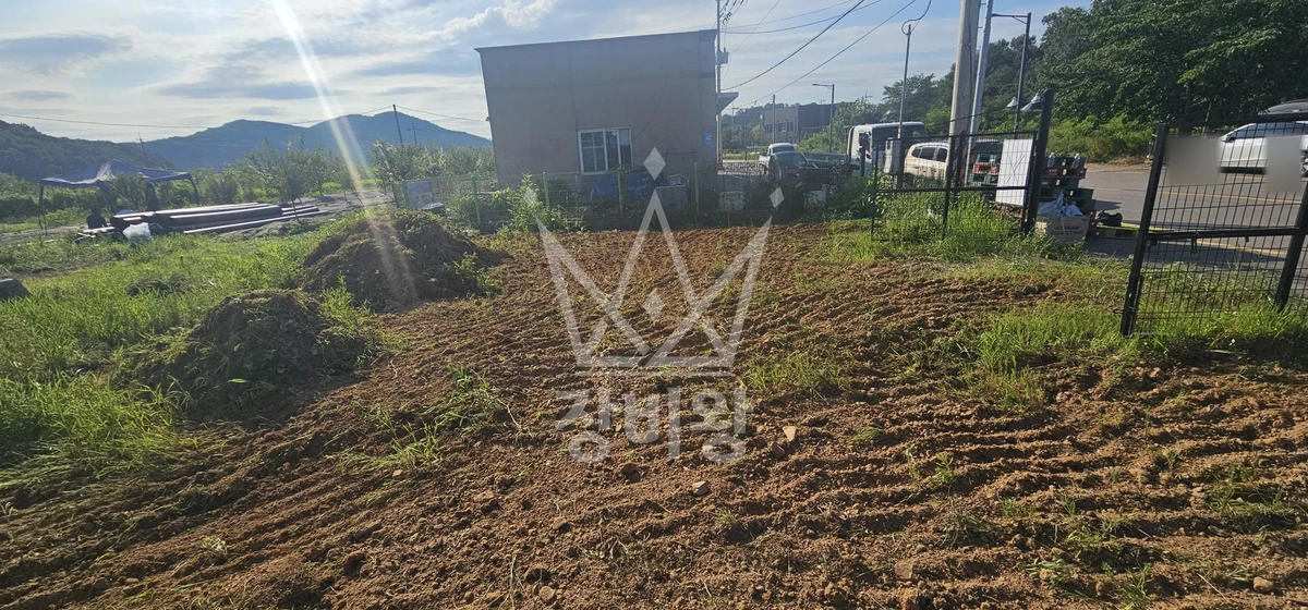 인천 영종구 운북동 포크레인(굴착기) 높이150cm 나무굴취 / 200평 평탄작업 20평 깊이 1m 지름30cm 30개 굴토 후 레미콘 타설작업 작업사진 2
