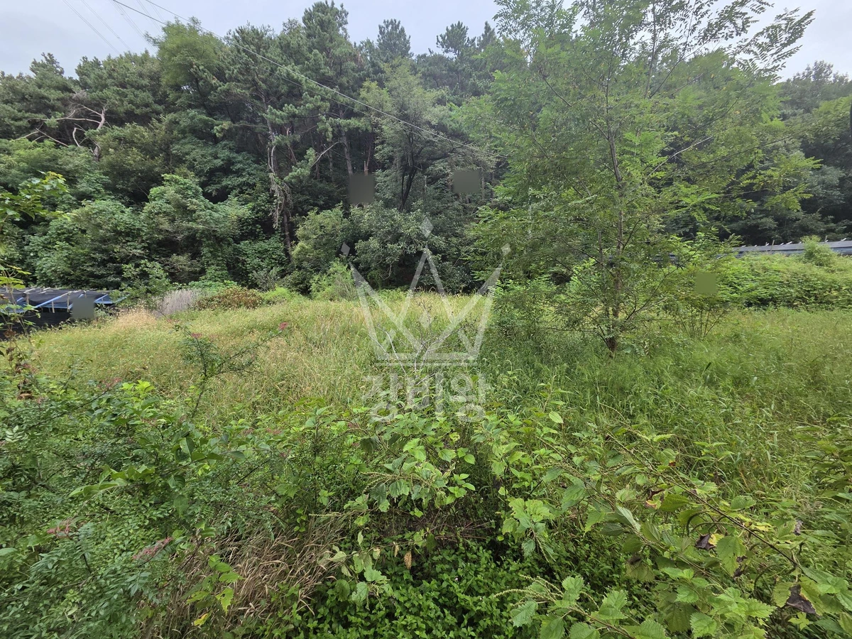 경기 용인시 처인구 이동읍 포크레인(굴착기) 묘지작업 3기 70m 묘 2기 300m 묘1기 작업사진 2