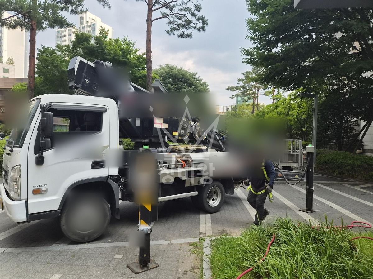 서울 마포구 하중동 3.5톤 스카이차 수목방제 작업완료사진 1