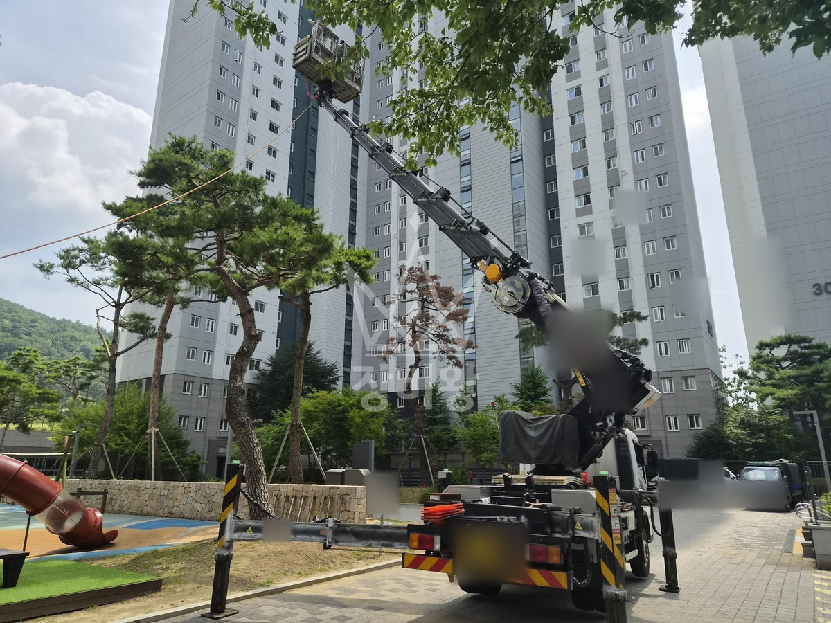 경기 하남시 감이동 3.5톤 스카이차 수목방재 작업사진 2