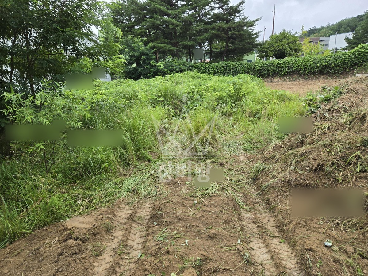 강원 강릉시 대전동 포크레인(굴착기) 대지정리 작업사진 1