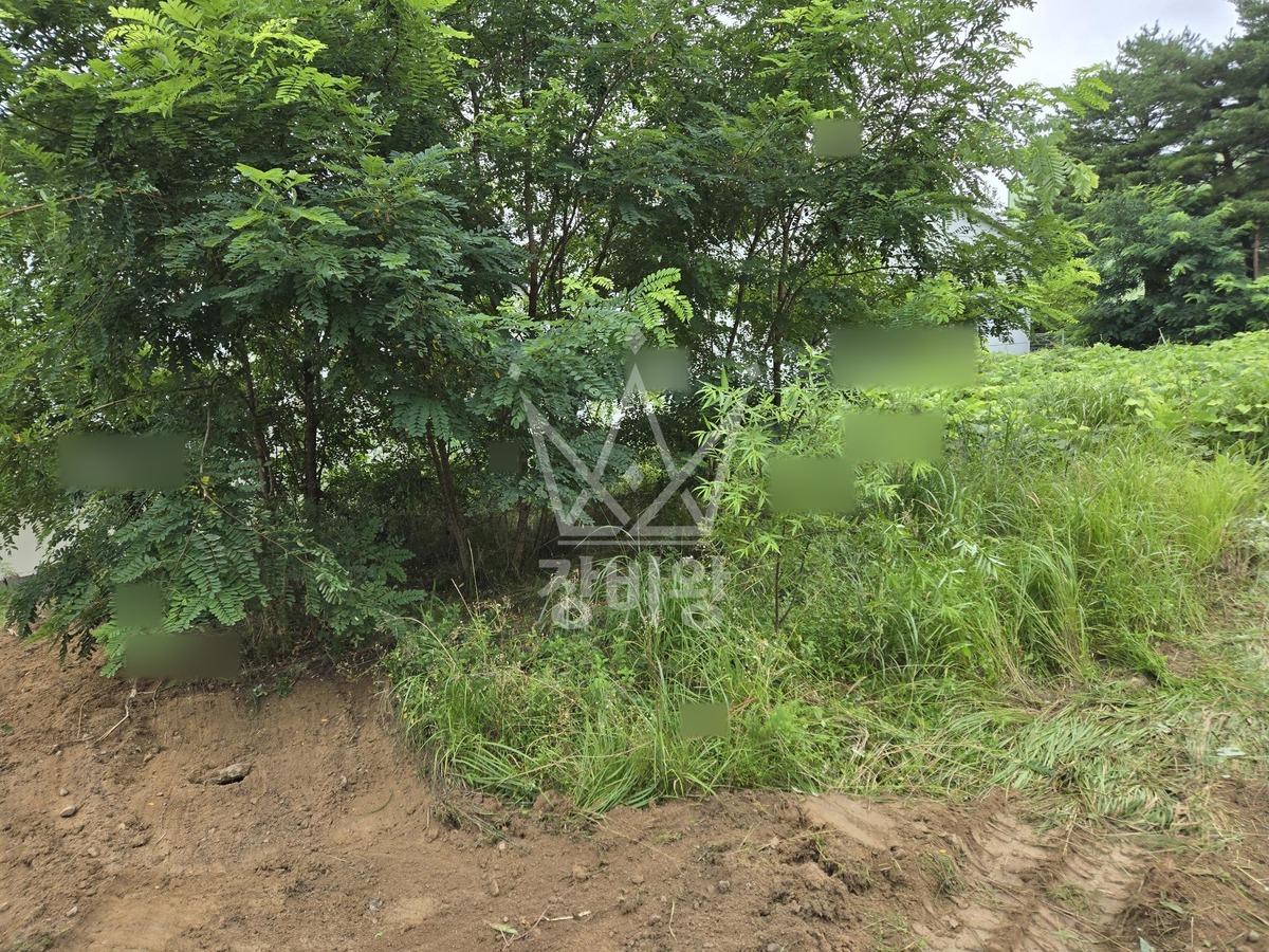강원 강릉시 대전동 포크레인(굴착기) 대지정리 작업사진 3