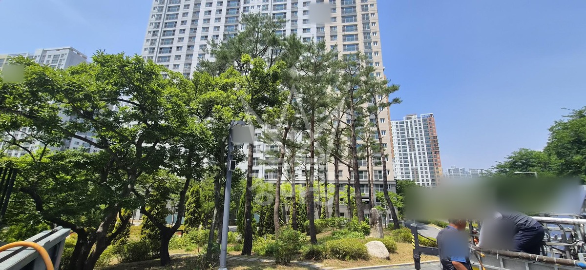 경기 시흥시 장현동 3.5톤 스카이차 수목방제작업 작업사진 1
