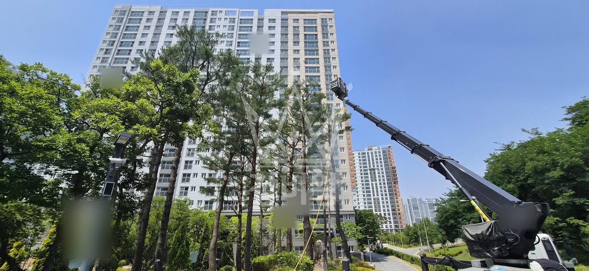 경기 시흥시 장현동 3.5톤 스카이차 수목방제작업 작업사진 3