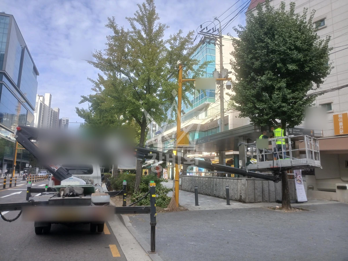 서울 서초구 잠원동 1톤 스카이차 은행나무기계설치 작업사진 2