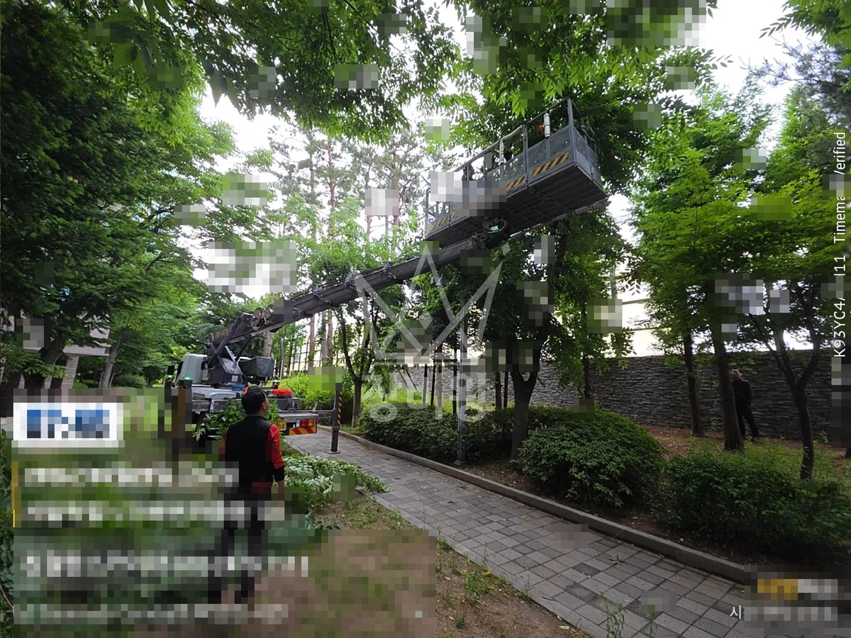 서울 마포구 하중동 3.5톤 스카이차 수목전지 작업사진 3
