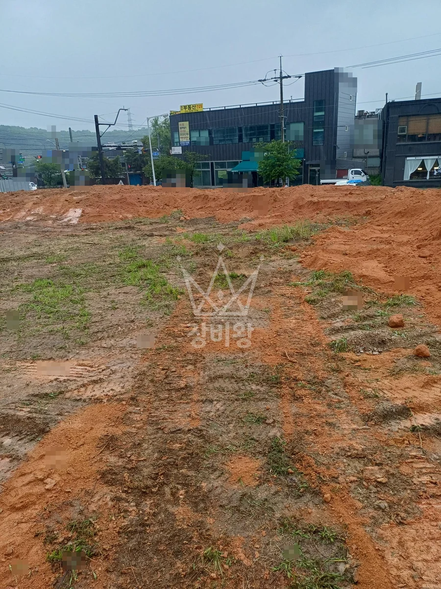 경기 고양시 덕양구 포크레인(굴착기) 1000평 소나무 식재 전 사전작업 작업완료사진 1