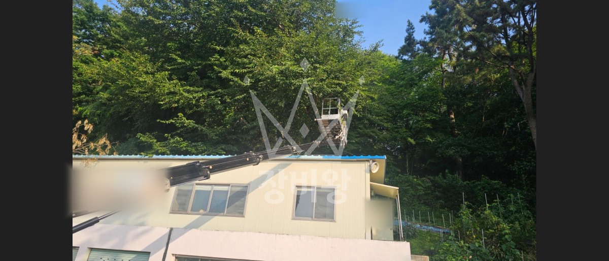 경남 창원시 마산합포구 추산동 1톤 스카이차 나무전지 작업사진 2