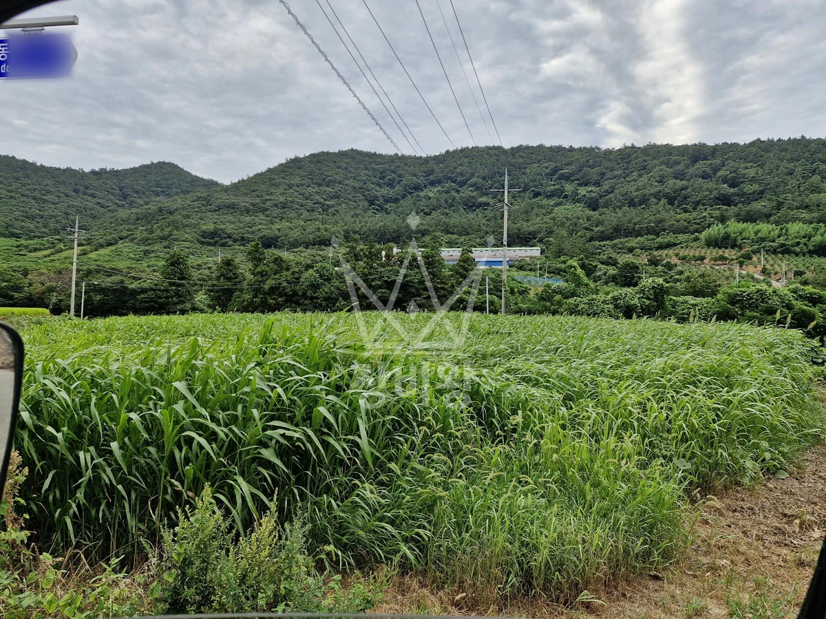 전남광주 강진군 마량면 포크레인(굴착기) 작업 현장 도착사진