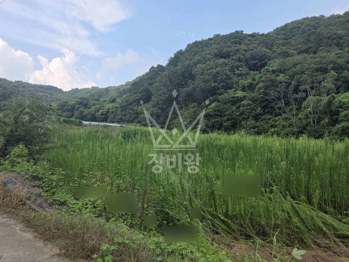 충북 청주시 서원구 현도면 포크레인(굴착기) 풀제거 작업사진 1