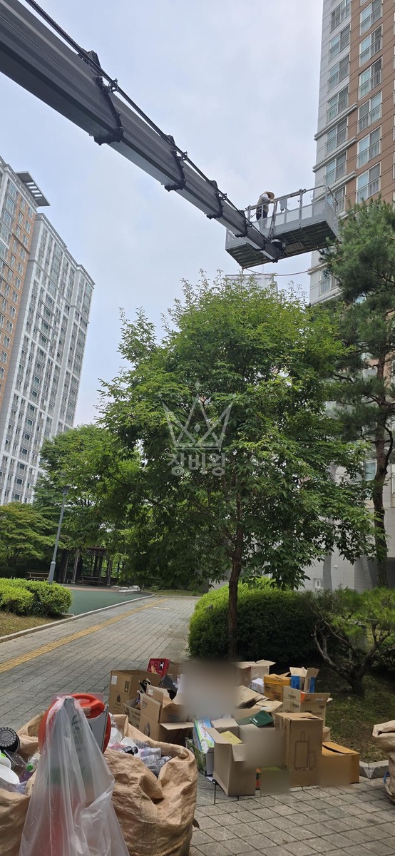 경기 파주시 동패동 3.5톤 스카이차 수목방재 작업사진 2