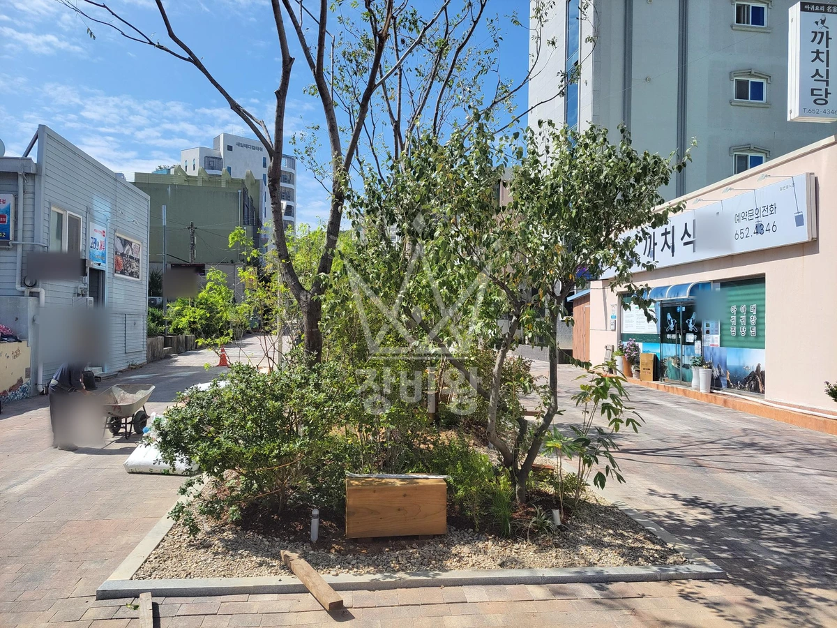 전남광주 여수시 여서동 포크레인(굴착기) 수목식재 작업사진 3